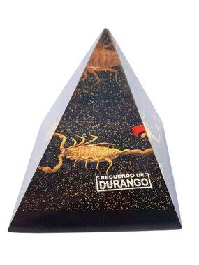 Vintage Real Scorpion Durango Mexico Pyramid Souvenir Resin Black Gold Recuerdo